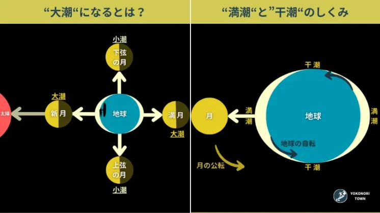 サーフィン用語説明（潮の満ち引き）