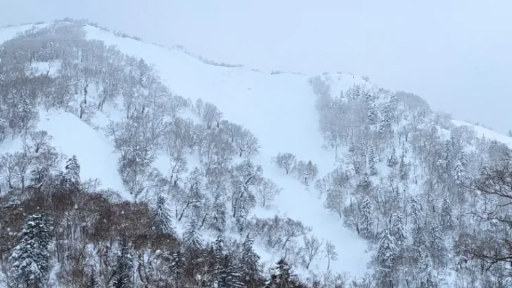 富良野スキー場の紹介まとめ