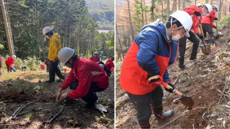 北海道コカ･コーラグループの「植樹活動風景」