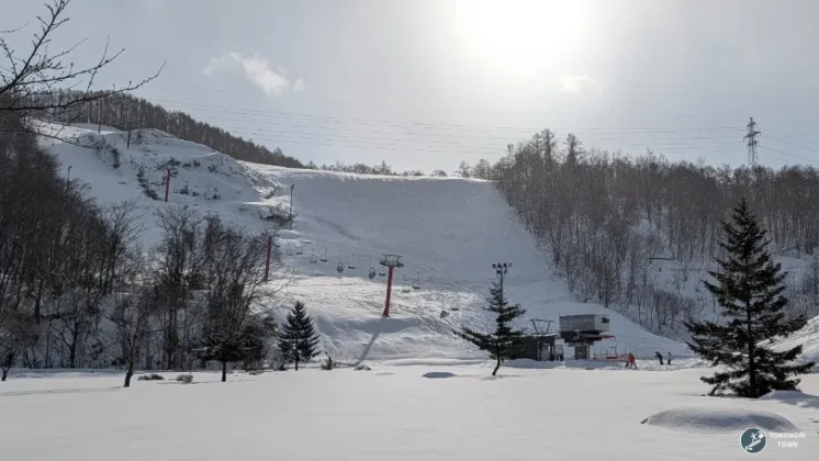 コンサドーレ仁木スキーパークの風景