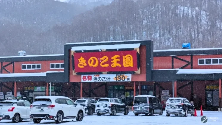 コンサドーレ仁木スキーパークの隣にあるきのこ王国